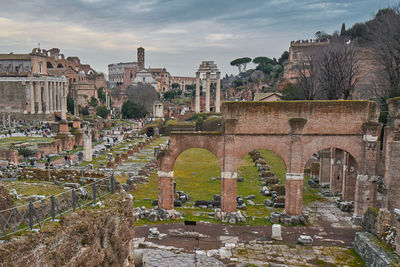 Rome colosseum grounds 