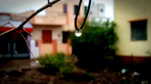 Close-up of water drops on built structure