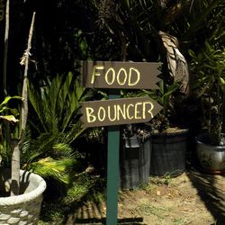 Close-up of information sign against trees