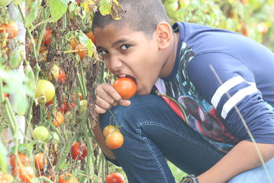 Portrait of boy with fruits on plant