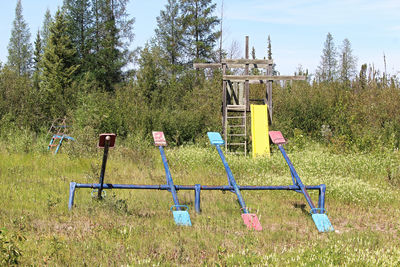 Empty chairs on field against trees