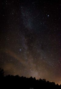 Low angle view of silhouette trees against star field at night