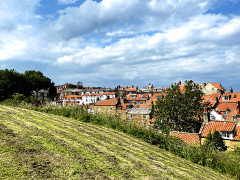 Houses on field against sky