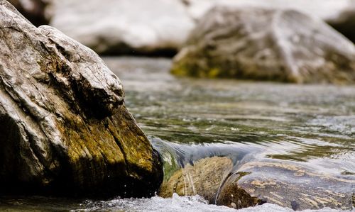 Close-up of rock by river