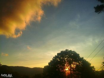 Low angle view of silhouette trees against sky at sunset