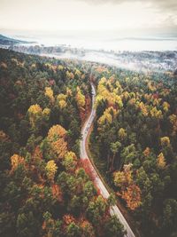 High angle view of plants by road against sky