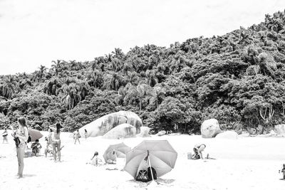 People relaxing on tree against clear sky