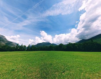 Scenic view of field against sky