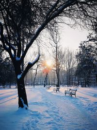 Bare trees on snow covered field against sky during sunset