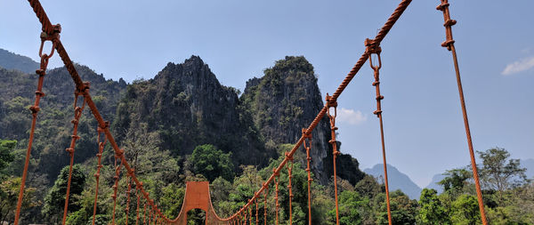 Low angle view of footbridge against plants