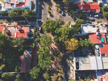 High angle view of trees and buildings