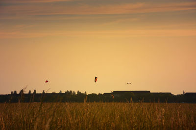 Scenic view of field against sky during sunset