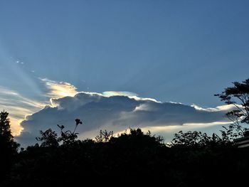 Low angle view of silhouette trees against sky