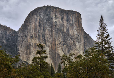 Low angle view of trees and mountain against sky