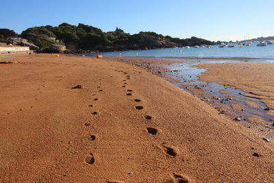 Footprints on wet sand at beach