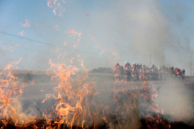 Detail shot of fire on landscape