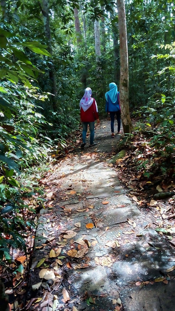 REAR VIEW OF FRIENDS WALKING ON FOOTPATH IN FOREST