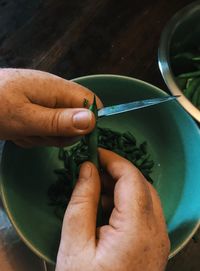 Cropped hands cutting green bean