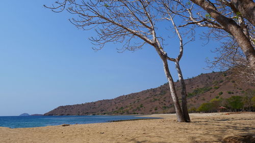 Scenic view of sea against clear blue sky