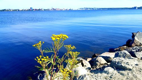 Scenic view of sea against blue sky