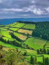 Scenic view of agricultural field against sky