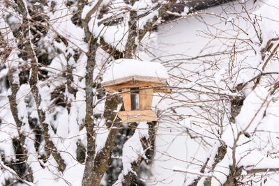 Snow covered trees in winter