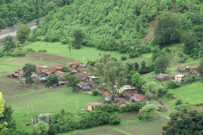 High angle view of trees and houses on field