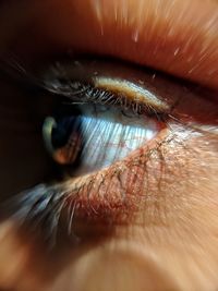 Extreme close-up of woman eye