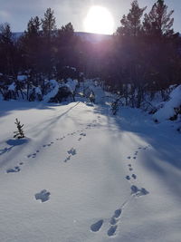 Scenic view of snow covered field against sky