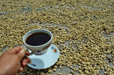 Person holding coffee cup