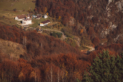 High angle view of trees and buildings during autumn