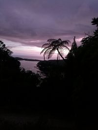 Silhouette trees by sea against sky at sunset