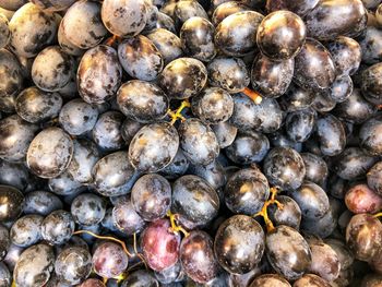 Full frame shot of blueberries