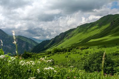 Scenic view of landscape against cloudy sky