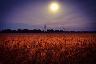 Scenic view of field against sky during sunset