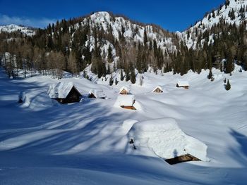 Mountain pasture in mountains