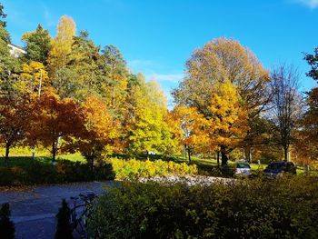 Trees by plants during autumn against sky