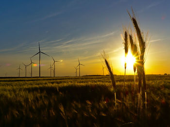 Scenic view of field against sky during sunset