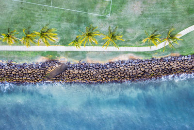 Aerial view of sea by palm trees on promenade