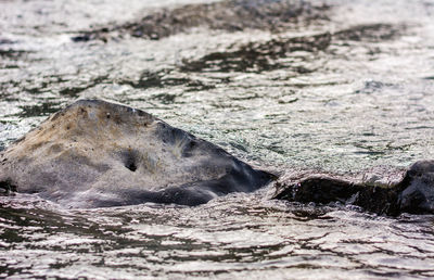 Scenic view of rocks in sea