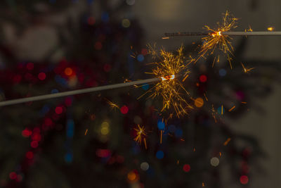 Close-up of christmas tree