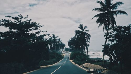 Road by trees against sky