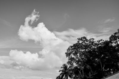 Low angle view of trees against sky