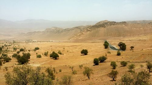 Scenic view of desert against sky