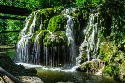 Scenic view of waterfall in forest