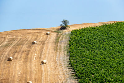 Hay bales on field against sky along via francigena in tuscany, minimal photo