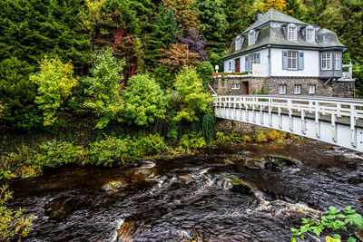 Bridge over river in forest