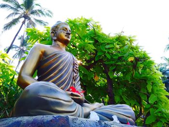 Low angle view of woman sitting on tree against plants