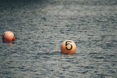 Buoys floating on water in sea