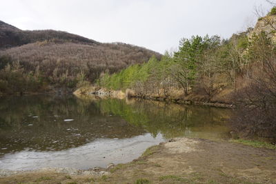 Scenic view of lake by trees against sky